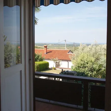 Maslina House Buje