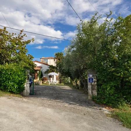 Maslina House * Buje