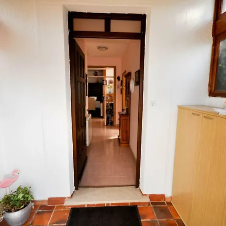Maslina House * Buje