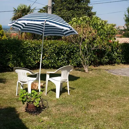 Maslina House Buje