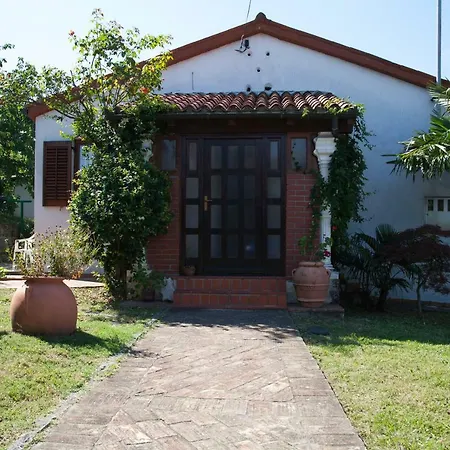 Maslina House Buje